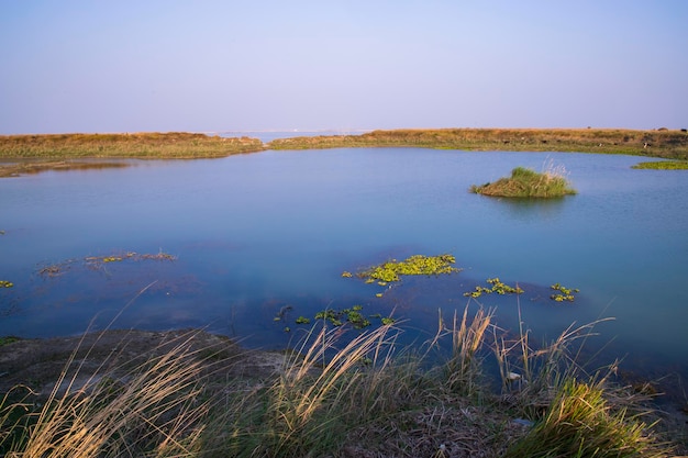 Vue de paysage de lac d'eau bleue cristalline à proximité de la rivière Padma au Bangladesh