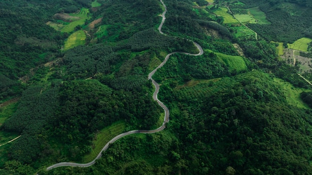Vue de paysage de la longue route courbe No1081 également connue sous le nom de route du ciel est une longue route derrière la montagne magnifique dans la dernière saison des pluies et au début de l'hiver de la province de nan en thaïlande