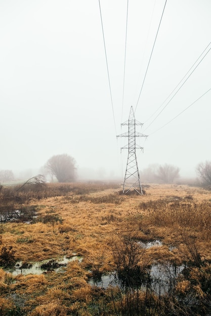 Vue paysage avec marais et jetée