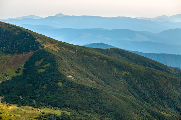 Vue De Paysage De Montagnes Verdoyantes