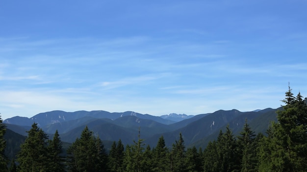 vue sur le paysage des montagnes