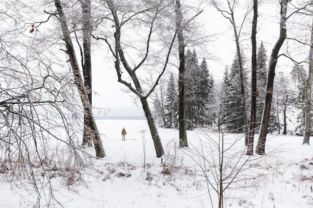 Une vue de paysage d'un parc couvert de neige d'hiver par les arbres avec une petite silhouette d'un homme