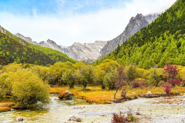 Vue de paysage à la réserve nationale de Yading