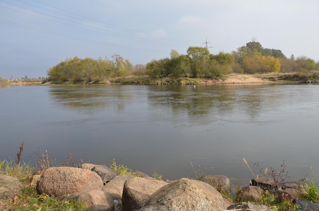 Vue paysage d'une rive de la rivière avec du sable humide, des rochers et des arbres