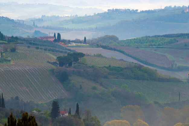 Vue sur un paysage toscan typique et une vallée de vignes, dans la province de Sienne. Toscane, Italie