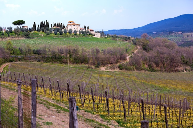 Vue sur un paysage toscan typique et une vallée de vignes, dans la province de Sienne. Toscane, Italie