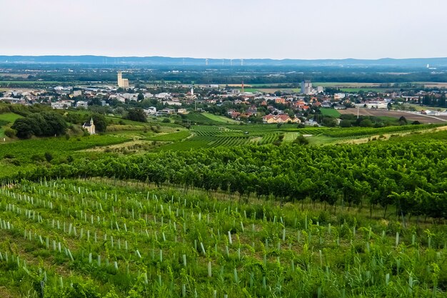 Vue sur la petite ville autrichienne et les champs verts