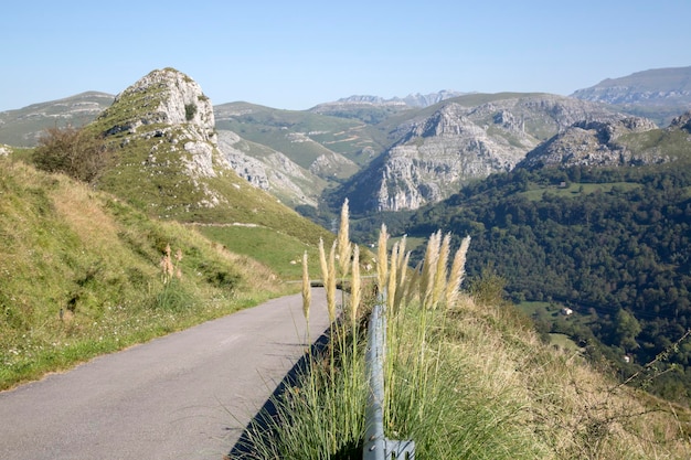 Vue sur les pics de Busampiro à Lierganes, Espagne