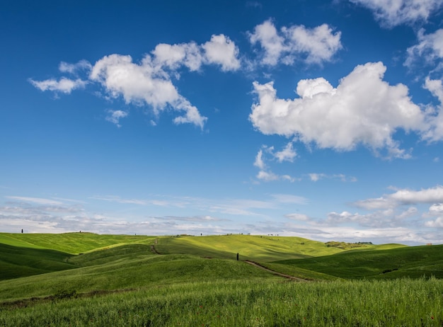 Vue sur la pittoresque campagne toscane