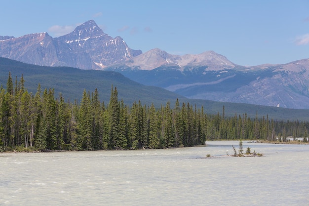 Vue pittoresque sur la montagne dans les Rocheuses canadiennes en été