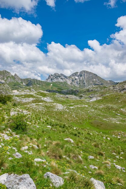 Vue sur la pittoresque montagne Prutash avec des bandes de neige