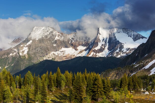 Vue pittoresque sur les montagnes des Rocheuses canadiennes en saison estivale