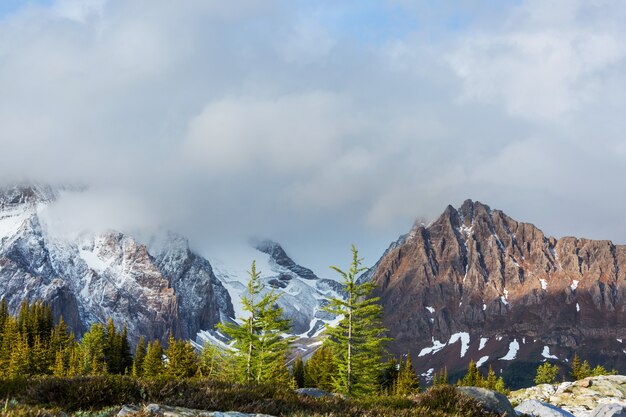 Vue pittoresque sur les montagnes des Rocheuses canadiennes en saison estivale