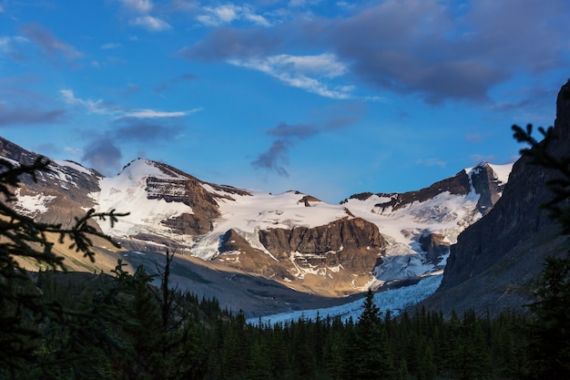 Vue pittoresque sur les montagnes des Rocheuses canadiennes en saison estivale