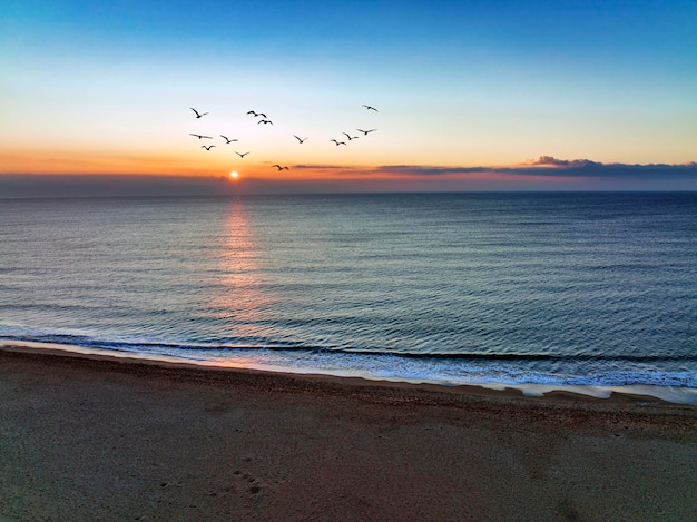 Photo vue pittoresque des oiseaux volant au-dessus de la mer calme au lever du soleil