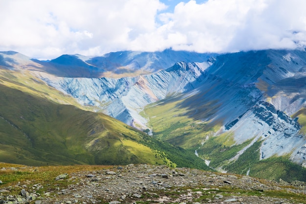 Vue pittoresque sur les prés de montagne de la vallée de Yarloo et de la rivière Akkem