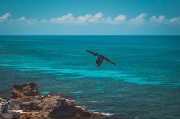 Vue sur la plage de Cancun