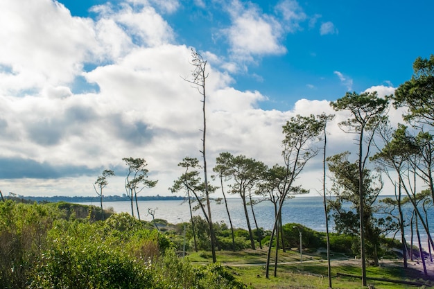 Vue sur la plage de Canelones, Uruguay