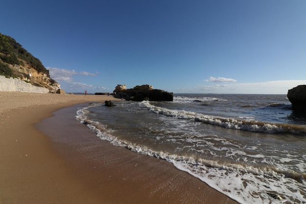 Vue de la plage contre le ciel bleu