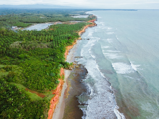 Vue sur la plage depuis les airs avec une belle mer bleue et une belle forêt verte sur la côte indonésienne