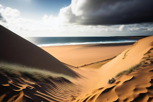 vue d'une plage du haut d'une dune de sable