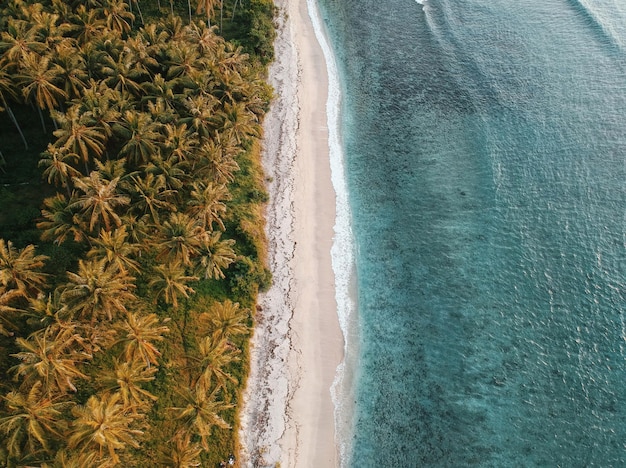 Vue de la plage en haut angle