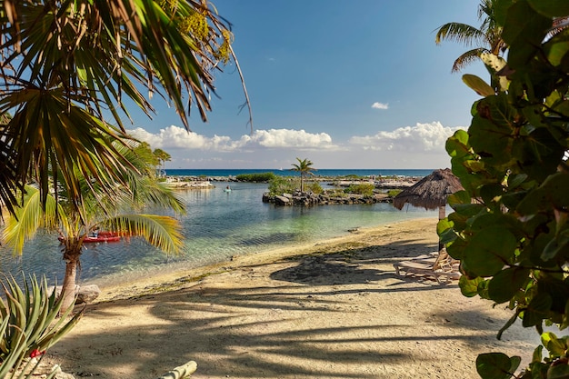 Vue sur la plage de Puerto Aventuras au Mexique filtrée par palm