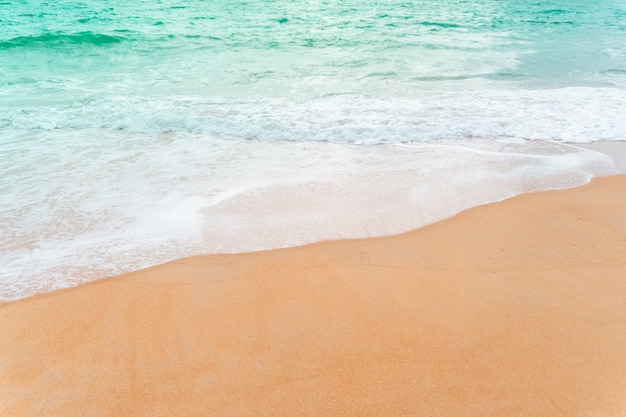 Vue d'une plage de sable propre