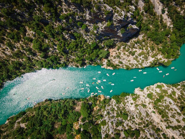 Photo vue des plantes sous un angle élevé depuis la mer