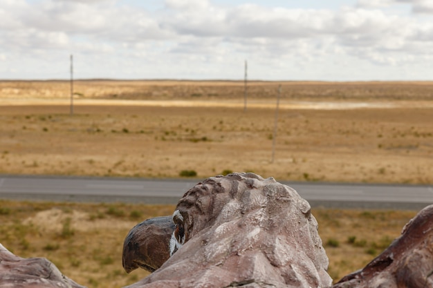 vue plongeante sur la steppe, tête d'aigle, vue arrière du cou et de la tête