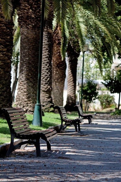 Vue de plusieurs bancs de parc en bois vides dans la ville de Faro.