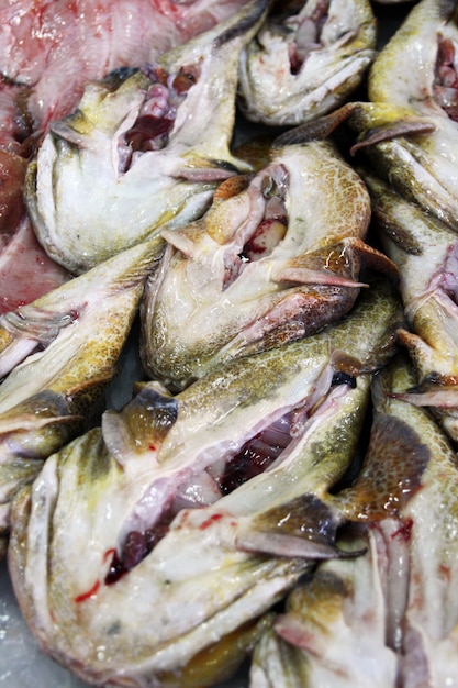 Vue de plusieurs lottes préparées au marché aux poissons.