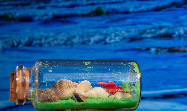 Photo vue des poissons nageant dans la piscine