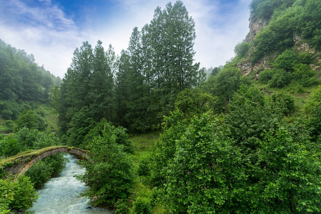 Vue d'un pont en arc de Highland, Giresun - Turquie