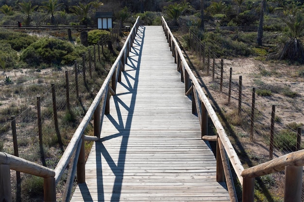 Vue d'un pont en bois au coucher du soleil avec un ciel bleu à Guardamar Del Segura Espagne