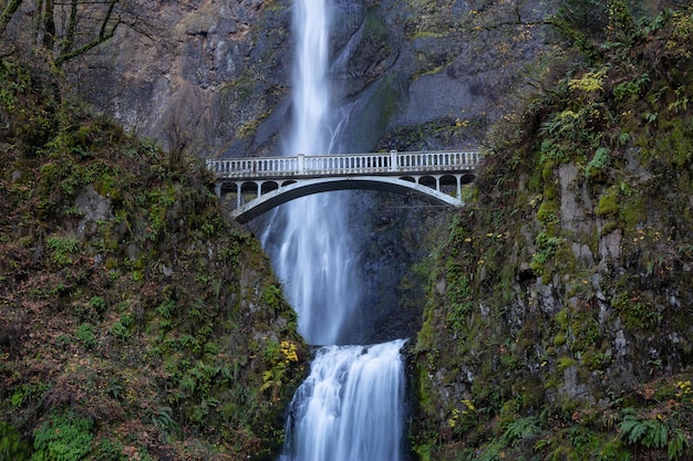 Vue d'un pont enjambant une rivière avec les chutes de Multnomah en arrière-plan