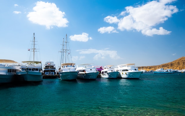 Vue sur le port avec des navires blancs