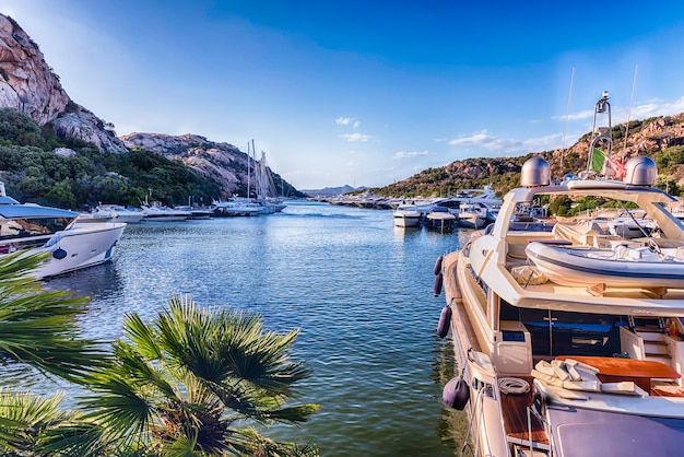 Vue sur le port avec des yachts de luxe de Poltu Quatu