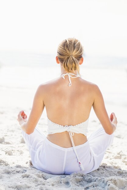 Vue postérieure, de, femme, exécuter, yoga, plage