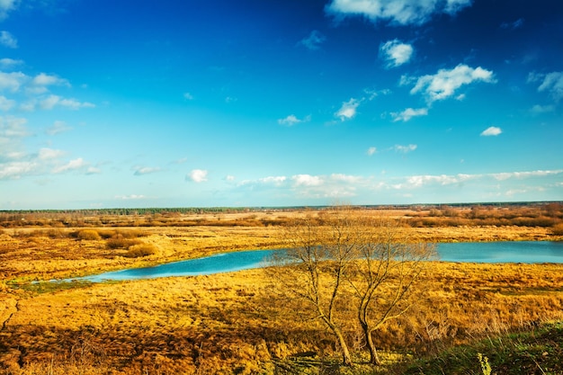 Vue sur prairie d'automne