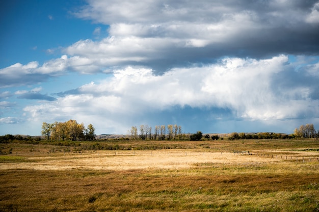 Vue sur la prairie dorée et les nuages de pluie dans le ciel bleu aux beaux jours