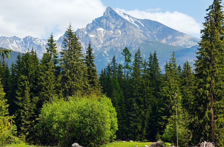 Photo vue de printemps des hautes tatras avec de la neige à flanc de montagne (slovaquie)