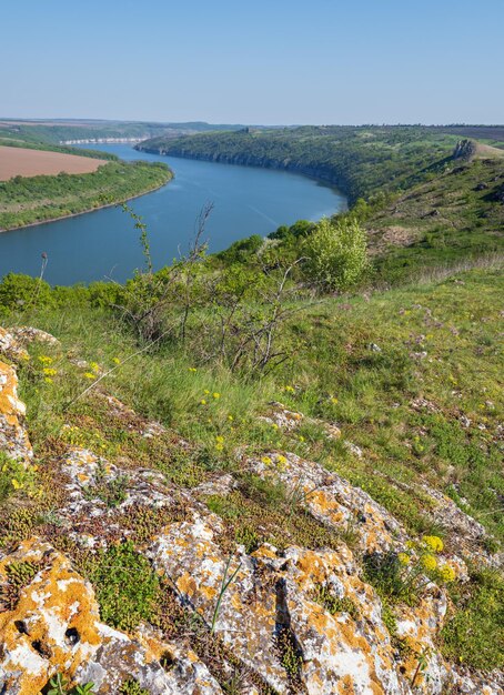 Vue de printemps incroyable sur le canyon de la rivière Dnister avec des fleurs de champs de roches pittoresques Cet endroit nommé Shyshkovi Gorby Nahoriany Région de Chernivtsi Ukraine