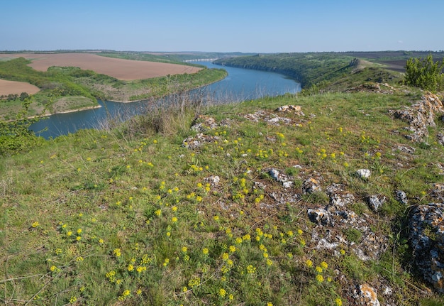 Vue de printemps incroyable sur le canyon de la rivière Dnister avec des fleurs de champs de roches pittoresques Cet endroit nommé Shyshkovi Gorby Nahoriany Région de Chernivtsi Ukraine