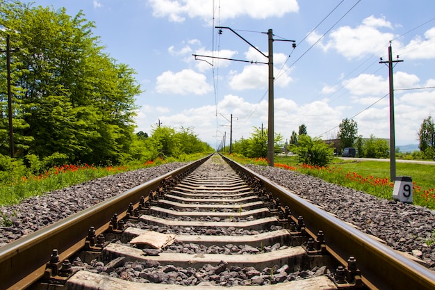 Vue des rails en Géorgie, route de train et gare, lignes et horizon avec champ de fleurs de pavot et jaune