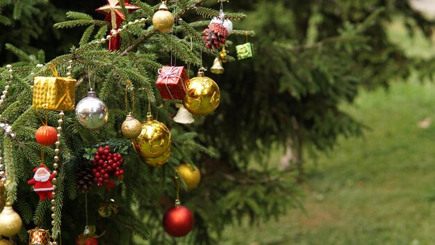 Vue rapprochée de l'arbre de Noël