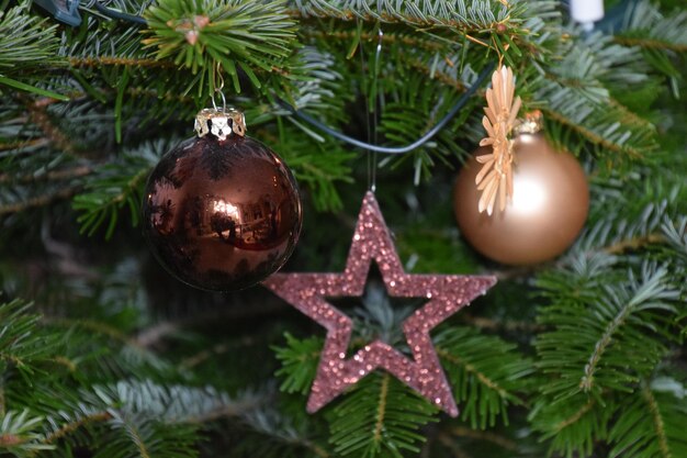 Photo vue rapprochée de l'arbre de noël