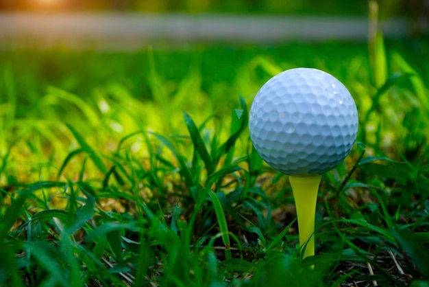 Photo vue rapprochée d'une balle sur un terrain de golf