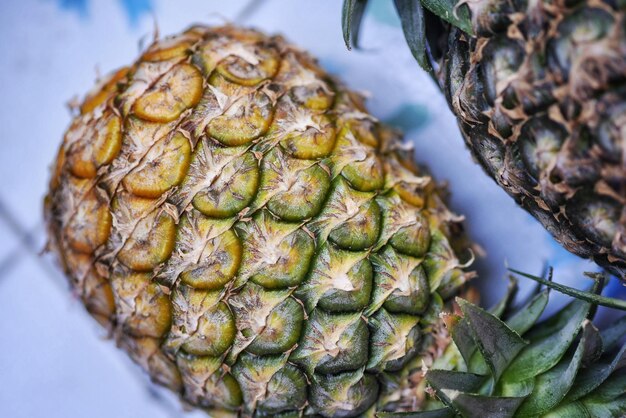 Photo vue rapprochée des bananes sur la plante