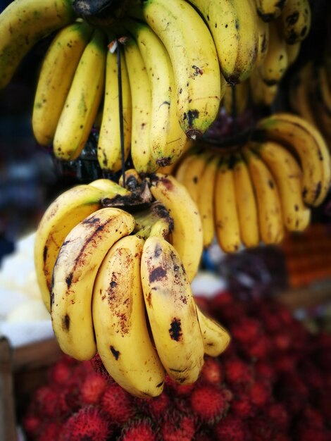 Photo vue rapprochée des bananes